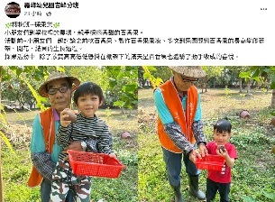 吉峰分班-食農教育(成果收獲2)圖片